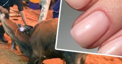 hukum potong kuku sebelum kurban